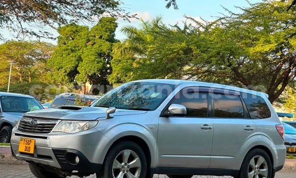 Buy Used Subaru Forester Silver Car in Dar es Salaam in Dar es Salaam Buy Used Subaru Forester Silver Car in Dar es Salaam in Dar es Salaam