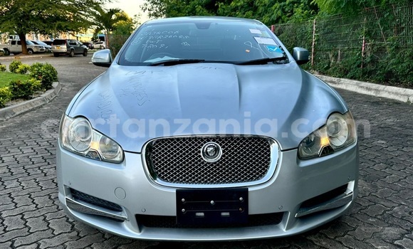 Buy Import Jaguar XF Silver Car in Dar es Salaam in Dar es Salaam Buy Import Jaguar XF Silver Car in Dar es Salaam in Dar es Salaam
