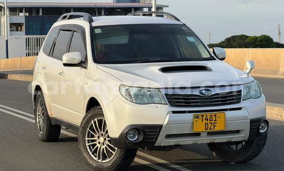 Buy Used Subaru Forester White Car in Dar es Salaam in Dar es Salaam Buy Used Subaru Forester White Car in Dar es Salaam in Dar es Salaam