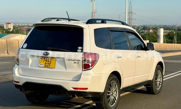 Buy Used Subaru Forester White Car in Dar es Salaam in Dar es Salaam Buy Used Subaru Forester White Car in Dar es Salaam in Dar es Salaam