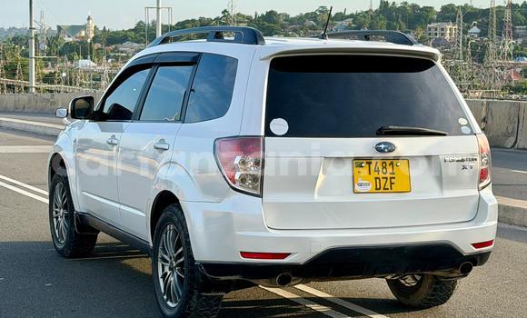 Buy Used Subaru Forester White Car in Dar es Salaam in Dar es Salaam Buy Used Subaru Forester White Car in Dar es Salaam in Dar es Salaam