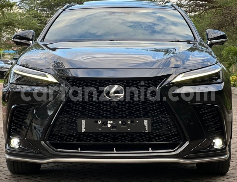 Big with watermark lexus nx dar es salaam dar es salaam 33732