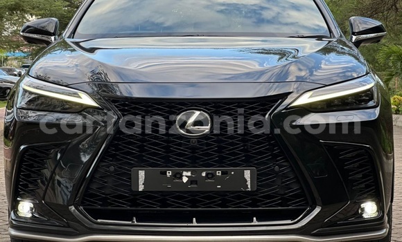 Nunua Imported Lexus NX Nyeusi Gari ndani ya Dar es Salaam nchini Dar es Salaam