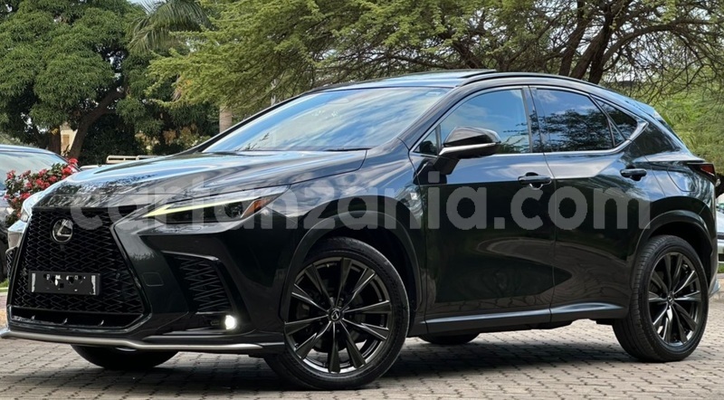 Big with watermark lexus nx dar es salaam dar es salaam 33732