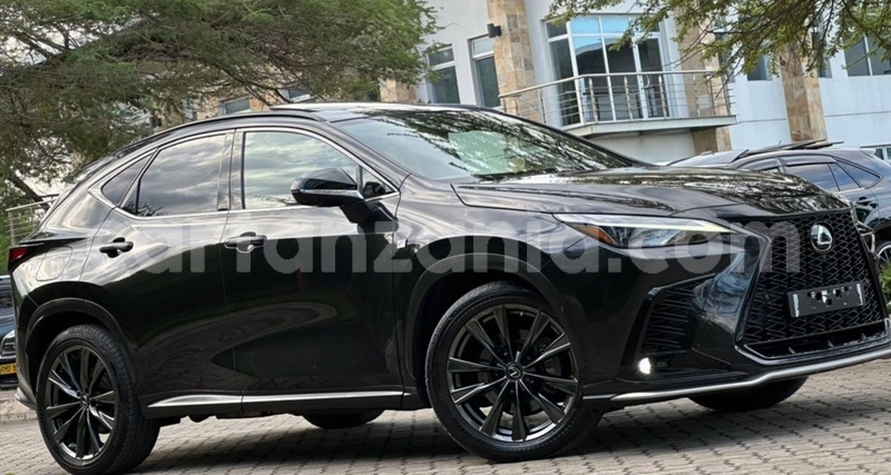 Big with watermark lexus nx dar es salaam dar es salaam 33732