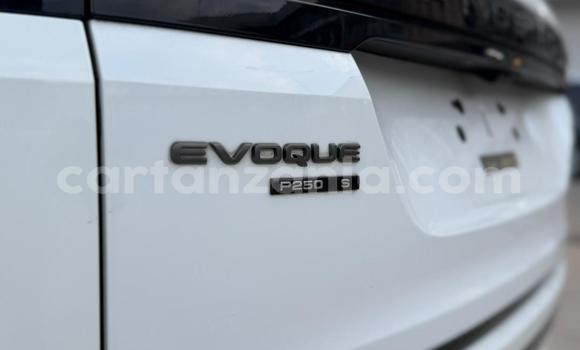 Buy Import Land Rover Range Rover Evoque White Car in Dar es Salaam in Dar es Salaam Buy Import Land Rover Range Rover Evoque White Car in Dar es Salaam in Dar es Salaam