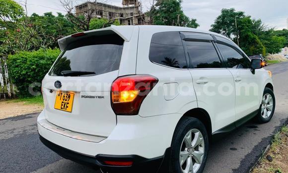Nunua Ilio tumika Subaru Forester Nyeupe Gari ndani ya Dar es Salaam nchini Dar es Salaam Nunua Ilio tumika Subaru Forester Nyeupe Gari ndani ya Dar es Salaam nchini Dar es Salaam