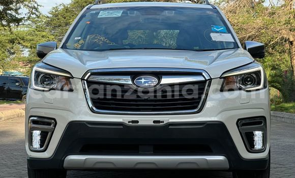 Buy Import Subaru Forester White Car in Dar es Salaam in Dar es Salaam