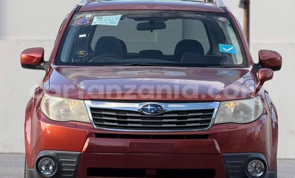 Nunua Imported Subaru Forester Nyingine Gari ndani ya Dar es Salaam nchini Dar es Salaam