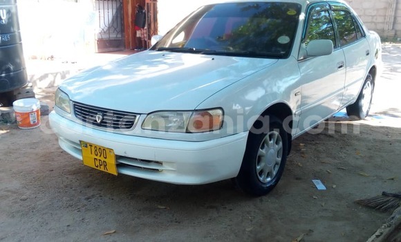 Buy Used Toyota Corolla White Car in Dar es Salaam in Dar es Salaam Buy Used Toyota Corolla White Car in Dar es Salaam in Dar es Salaam