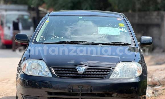 Nunua Imported Toyota Allex Nyeusi Gari ndani ya Dar es Salaam nchini Dar es Salaam Nunua Imported Toyota Allex Nyeusi Gari ndani ya Dar es Salaam nchini Dar es Salaam
