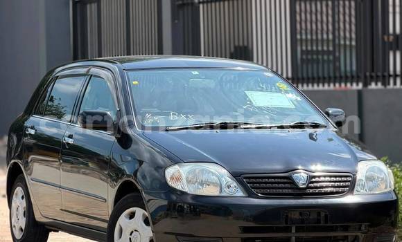 Buy Import Toyota Allex Black Car in Dar es Salaam in Dar es Salaam Buy Import Toyota Allex Black Car in Dar es Salaam in Dar es Salaam
