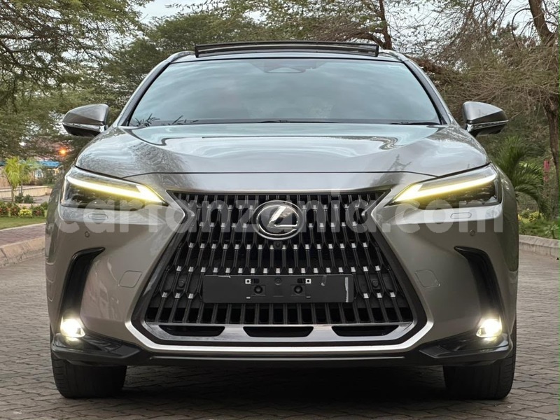 Big with watermark lexus nx dar es salaam dar es salaam 34089