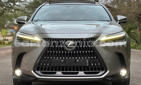Buy Import Lexus NX Other Car in Dar es Salaam in Dar es Salaam Buy Import Lexus NX Other Car in Dar es Salaam in Dar es Salaam