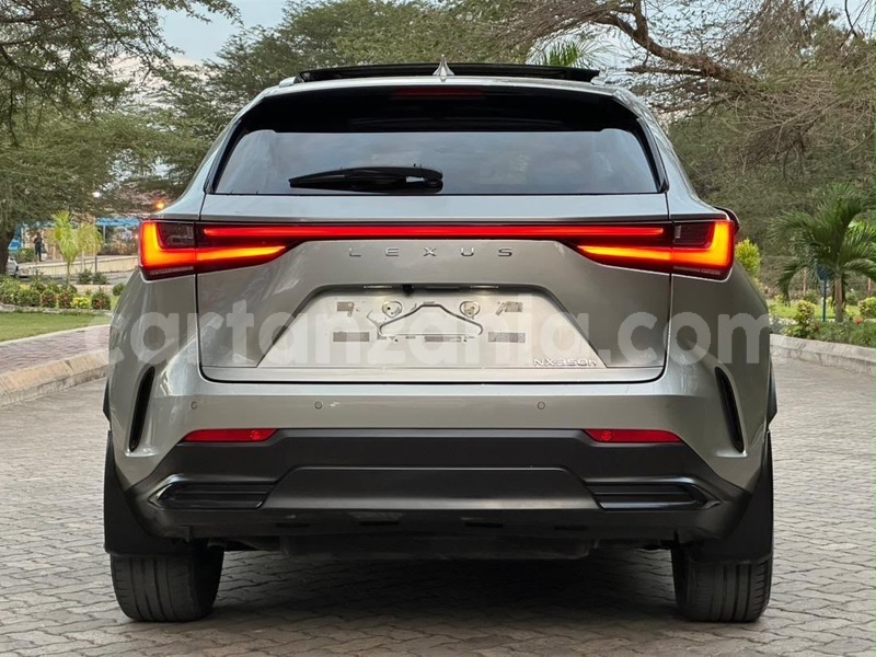 Big with watermark lexus nx dar es salaam dar es salaam 34089