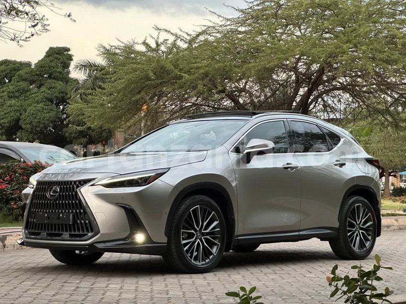 Big with watermark lexus nx dar es salaam dar es salaam 34089