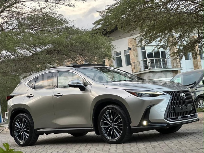 Big with watermark lexus nx dar es salaam dar es salaam 34089