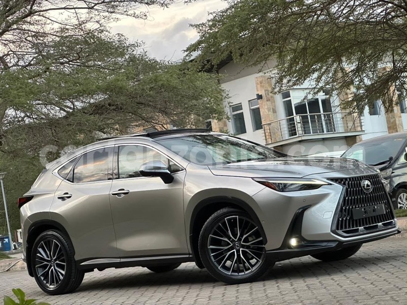 Big with watermark lexus nx dar es salaam dar es salaam 34089