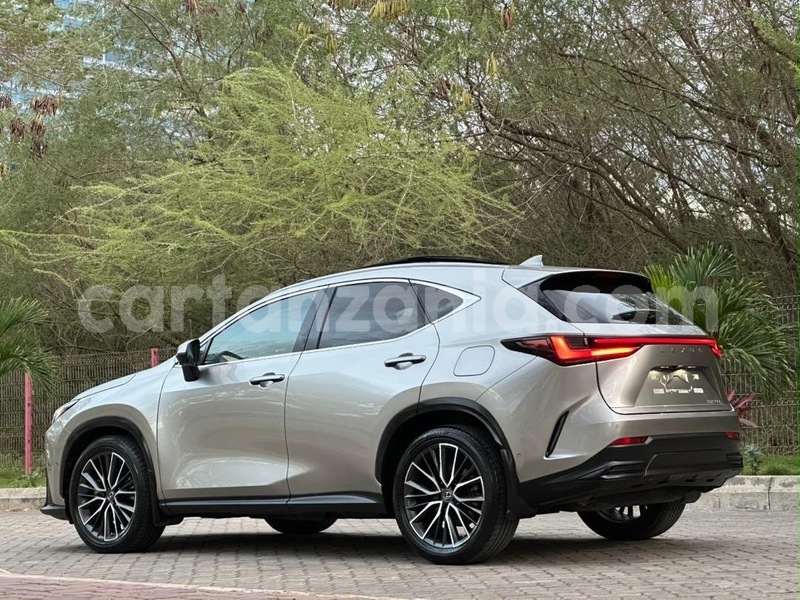 Big with watermark lexus nx dar es salaam dar es salaam 34089