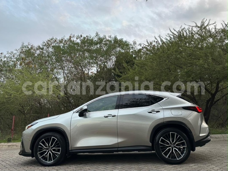 Big with watermark lexus nx dar es salaam dar es salaam 34089