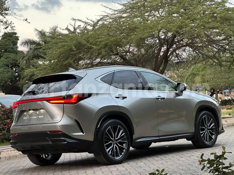 Big with watermark lexus nx dar es salaam dar es salaam 34089