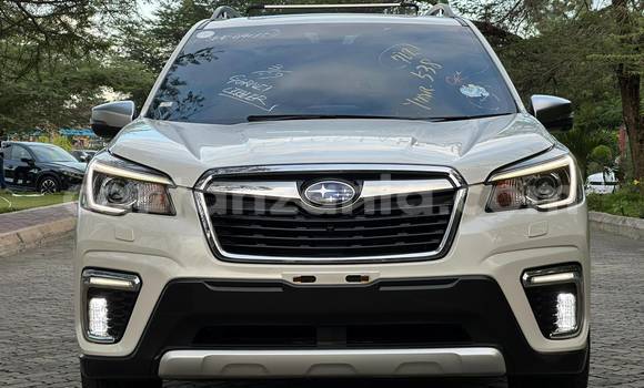 Nunua Imported Subaru Forester Nyeupe Gari ndani ya Dar es Salaam nchini Dar es Salaam Nunua Imported Subaru Forester Nyeupe Gari ndani ya Dar es Salaam nchini Dar es Salaam