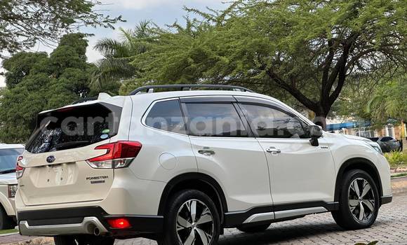 Buy Import Subaru Forester White Car in Dar es Salaam in Dar es Salaam Buy Import Subaru Forester White Car in Dar es Salaam in Dar es Salaam