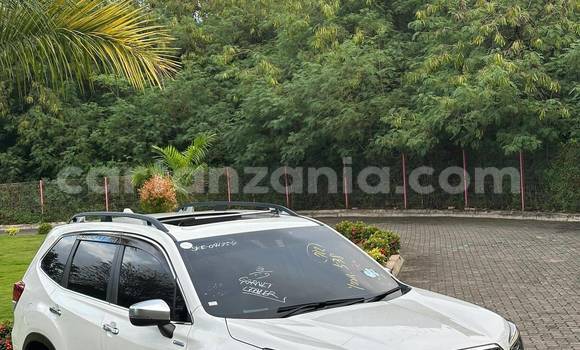 Buy Import Subaru Forester White Car in Dar es Salaam in Dar es Salaam Buy Import Subaru Forester White Car in Dar es Salaam in Dar es Salaam