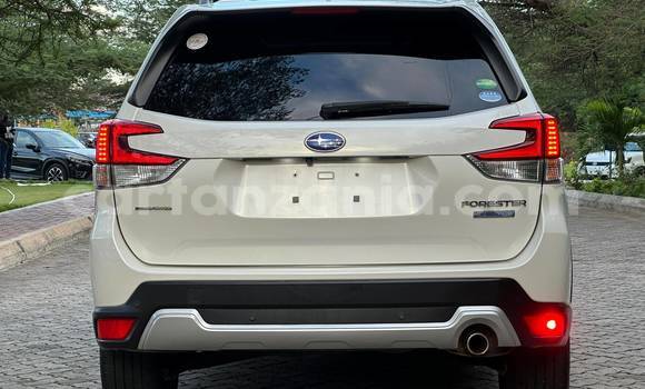 Buy Import Subaru Forester White Car in Dar es Salaam in Dar es Salaam Buy Import Subaru Forester White Car in Dar es Salaam in Dar es Salaam
