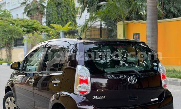 Buy New Toyota Passo Other Car in Dar es Salaam in Dar es Salaam Buy New Toyota Passo Other Car in Dar es Salaam in Dar es Salaam