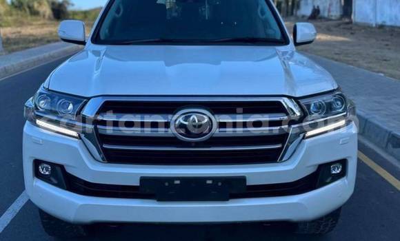 Buy Import Toyota Land Cruiser White Car in Dar es Salaam in Dar es Salaam Buy Import Toyota Land Cruiser White Car in Dar es Salaam in Dar es Salaam