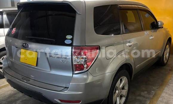 Nunua Ilio tumika Subaru Forester Fedha Gari ndani ya Dar es Salaam nchini Dar es Salaam Nunua Ilio tumika Subaru Forester Fedha Gari ndani ya Dar es Salaam nchini Dar es Salaam