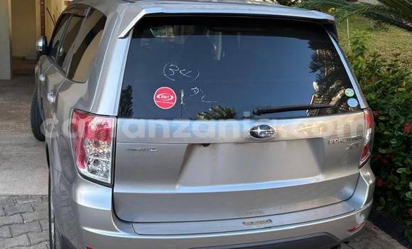 Nunua Ilio tumika Subaru Forester Fedha Gari ndani ya Dar es Salaam nchini Dar es Salaam Nunua Ilio tumika Subaru Forester Fedha Gari ndani ya Dar es Salaam nchini Dar es Salaam