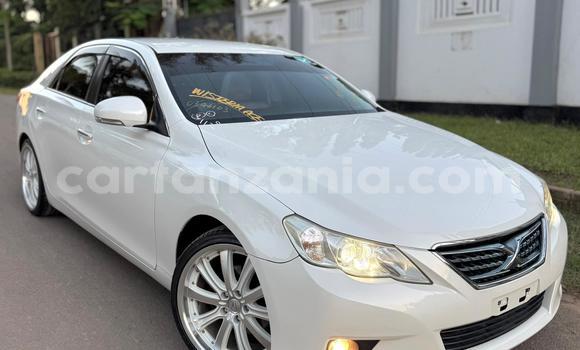 Buy Import Toyota Mark X White Car in Dar es Salaam in Dar es Salaam Buy Import Toyota Mark X White Car in Dar es Salaam in Dar es Salaam