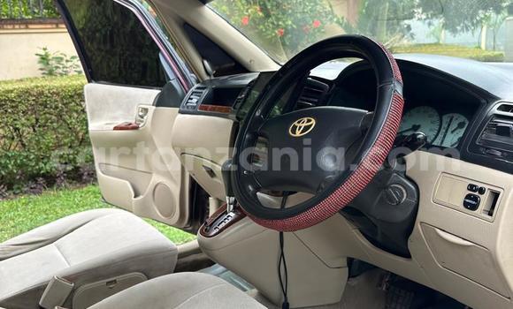 Nunua Ilio tumika Toyota Corolla Spacio Nyingine Gari ndani ya Dar es Salaam nchini Dar es Salaam Nunua Ilio tumika Toyota Corolla Spacio Nyingine Gari ndani ya Dar es Salaam nchini Dar es Salaam