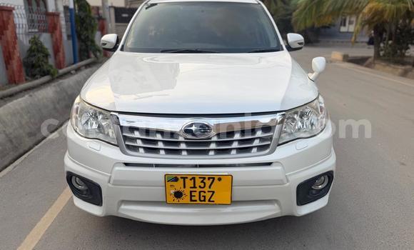 Buy Used Subaru Forester White Car in Dar es Salaam in Dar es Salaam