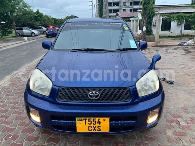 Big with watermark 62422974 2378989539045558 8137252121402671104 n