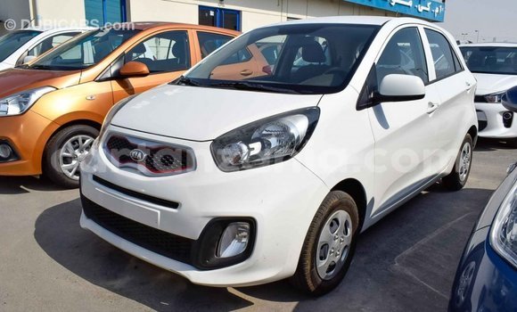 Nunua Imported Kia Picanto Nyeupe Gari ndani ya Import - Dubai nchini Arusha Nunua Imported Kia Picanto Nyeupe Gari ndani ya Import - Dubai nchini Arusha
