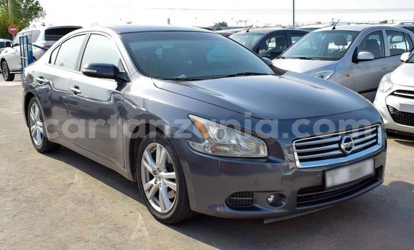 Buy Import Nissan Maxima Other Car in Import - Dubai in Arusha Buy Import Nissan Maxima Other Car in Import - Dubai in Arusha