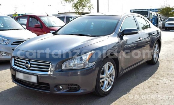 Buy Import Nissan Maxima Other Car in Import - Dubai in Arusha Buy Import Nissan Maxima Other Car in Import - Dubai in Arusha