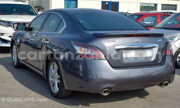 Buy Import Nissan Maxima Other Car in Import - Dubai in Arusha Buy Import Nissan Maxima Other Car in Import - Dubai in Arusha