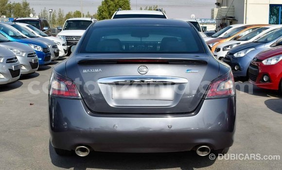Buy Import Nissan Maxima Other Car in Import - Dubai in Arusha Buy Import Nissan Maxima Other Car in Import - Dubai in Arusha