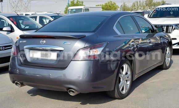 Buy Import Nissan Maxima Other Car in Import - Dubai in Arusha Buy Import Nissan Maxima Other Car in Import - Dubai in Arusha