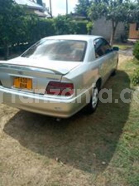 Big with watermark 65671584 2362333350756055 3129576831317966848 n