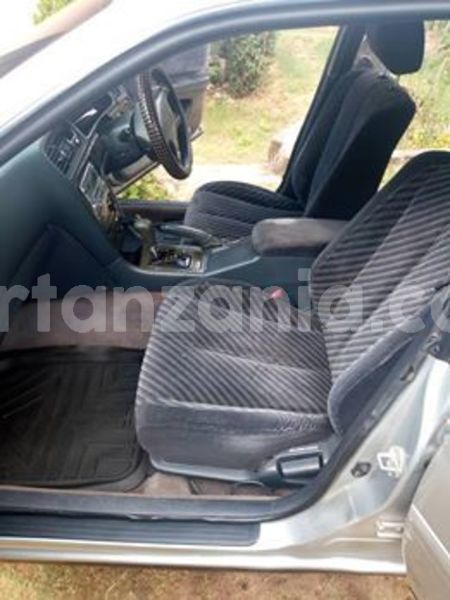 Big with watermark 66206535 2362333187422738 9182190284102959104 n