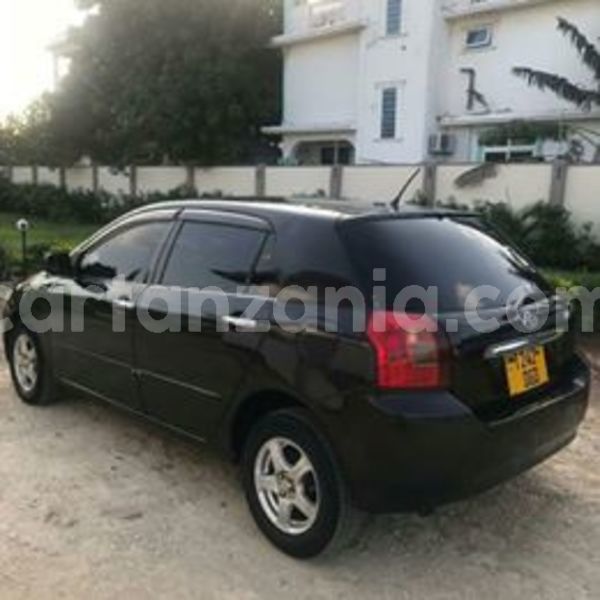 Big with watermark 65289306 2358309334491790 4127528734699814912 n