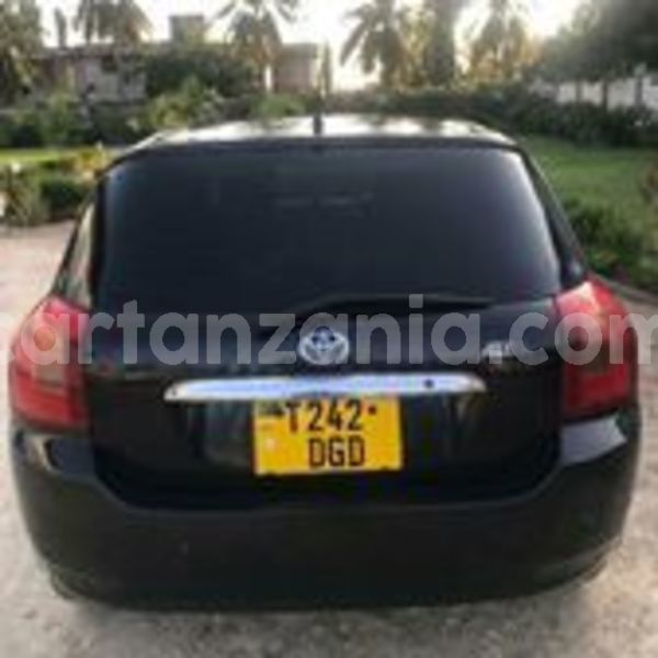 Big with watermark 65308335 2358309497825107 6188136820778205184 n