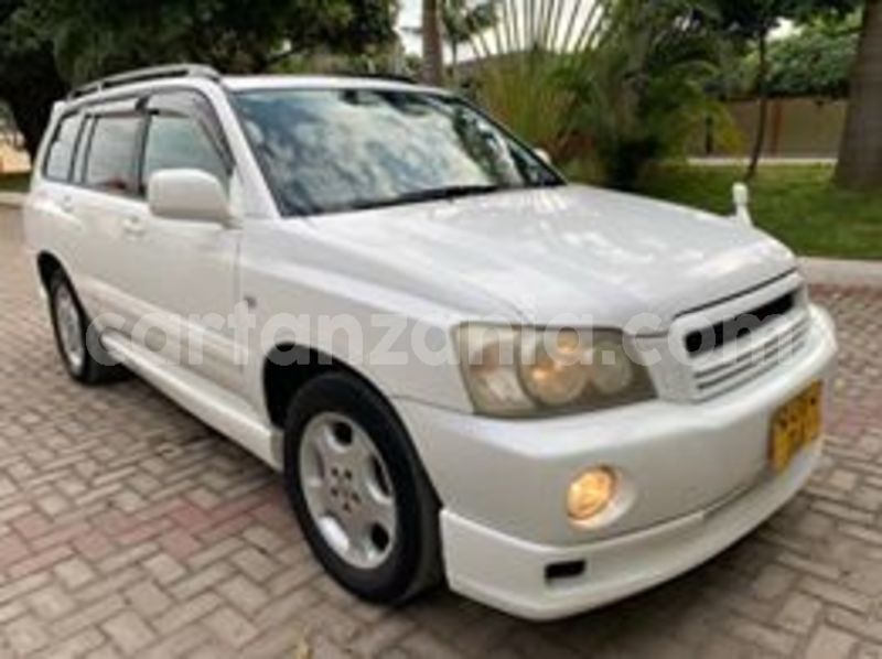 Big with watermark 65182053 2353968558259201 514264385997242368 n