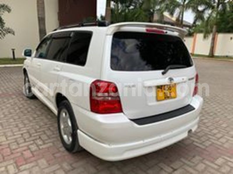 Big with watermark 64939664 2353968521592538 2855197505652523008 n