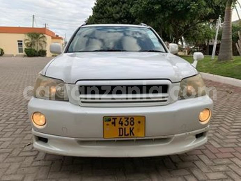 Big with watermark 65317535 2353968434925880 607232925963911168 n